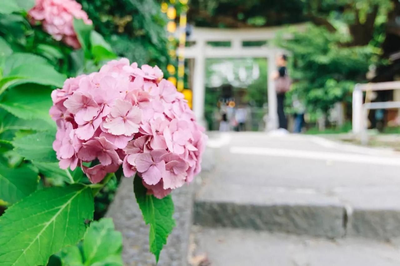 Villa Kamakura Exteriér fotografie
